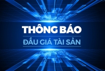 Thông báo đấu giá tài sản (ngày 8/12/2023)